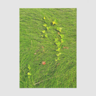 Minimalist Green Ivy in Flowing Grass Photograph Tissue Paper