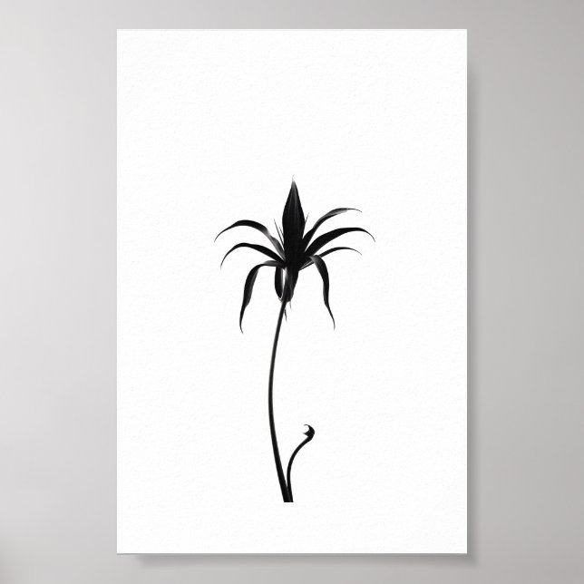 Minimalist Ink Flower Abstract Floral Art in Black Poster (Front)