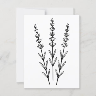 Minimalist Lavender Sprigs Botanical Line Art Postcard