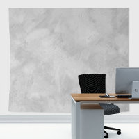 Minimalist Light Grey Roman Clay Wall Texture