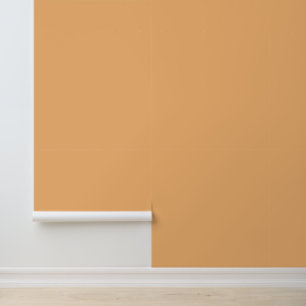 Minimalist light orange solid plain modern elegant wallpaper