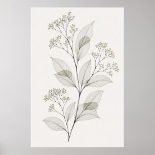 Minimalist Living Room Botanical Vein Illustration Poster