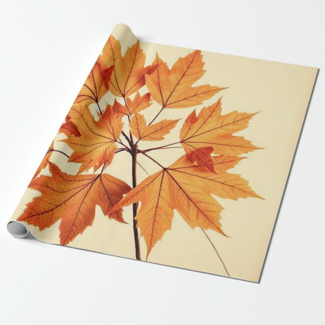 Minimalist Maple Leaves Art – Botanical Print Wrapping Paper (Unrolled)
