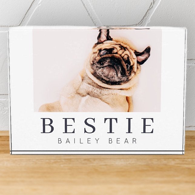 Minimalist Modern Chic Pet Bestie BFF Photo Block (Creator Uploaded)
