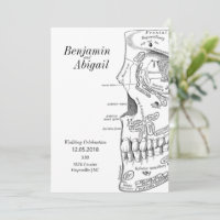 Minimalist Modern Doctor Anatomy Skull Science