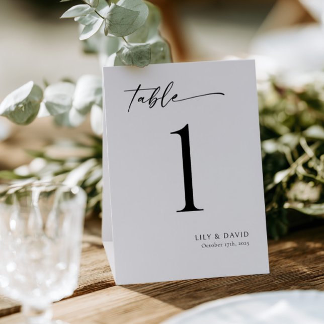 Minimalist Modern Table Number (Double-sided Tented Table Numbers)
