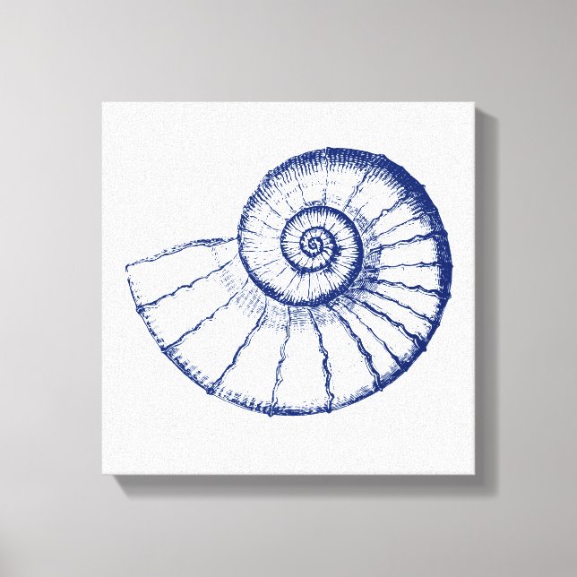 Minimalist Nautilus Sea Shell Canvas Print (Front)
