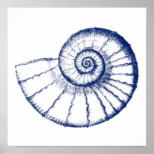 Minimalist Nautilus Sea Shell Poster
