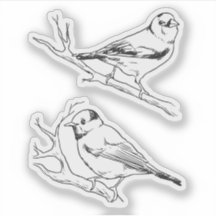 Minimalist North American Birds Line Art Pattern