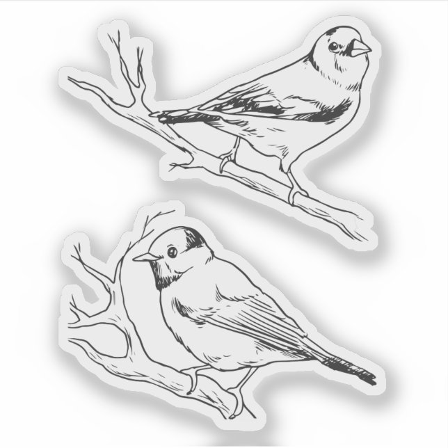 Minimalist North American Birds Line Art Pattern (Front)