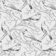 Minimalist North American Birds Line Art Pattern