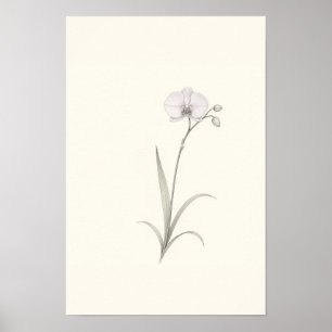 Minimalist Orchid Botanical Sketch Wall Art