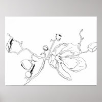 Minimalist Outline Single Magnolia Bloom