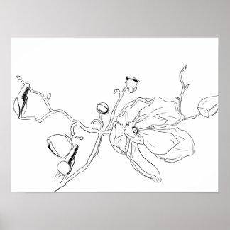 Minimalist Outline Single Magnolia Bloom Poster