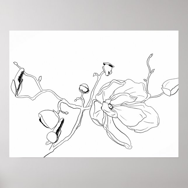 Minimalist Outline Single Magnolia Bloom Poster (Front)