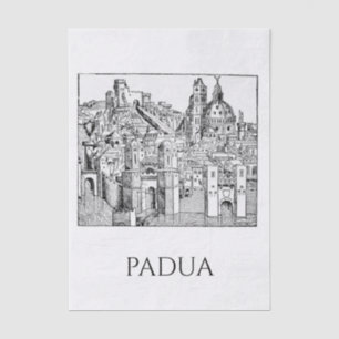 Minimalist Padua Medieval Skyline Line Art Tissue Paper