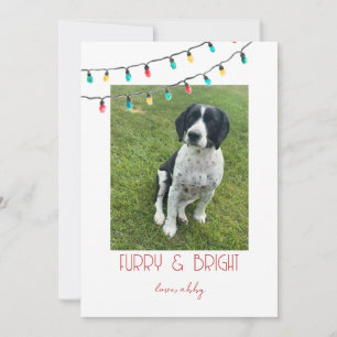 Minimalist Pet Christmas Card - Furry and Bright