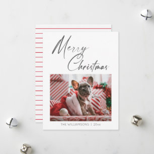 Minimalist Photo Merry Christmas Script Pet Dog Holiday Card