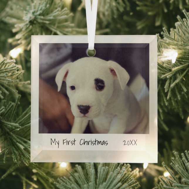 Minimalist Photo Pet First Christmas  Glass Tree Decoration (Insitu)