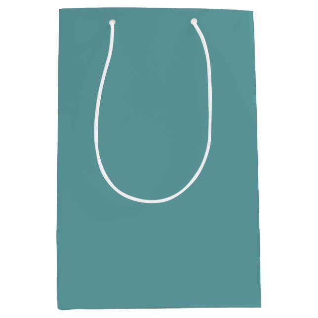 Minimalist Professional Modern Plain Cadet Blue Medium Gift Bag (Front)