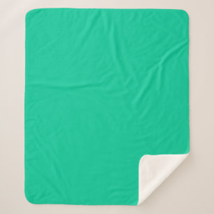 Minimalist Professional Solid Caribbean Green Sherpa Blanket