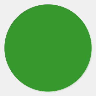 Minimalist Professional Solid India Green Colour Classic Round Sticker