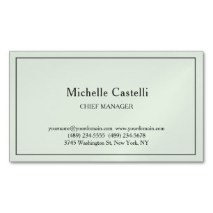 Minimalist Professional Unique Classical Pastel Magnetic Business Card