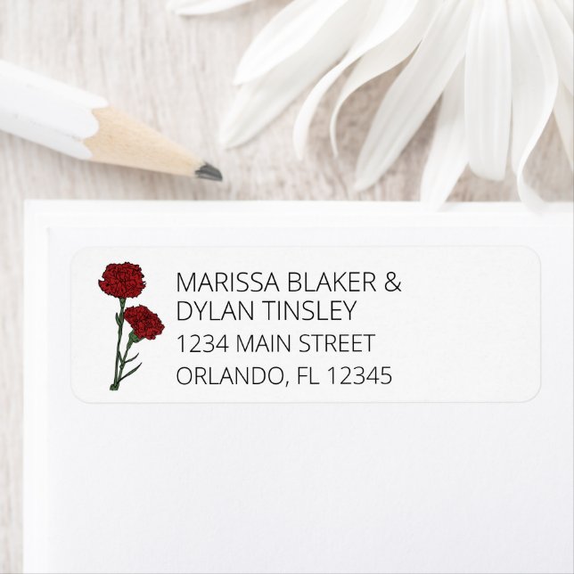 Minimalist Red Carnations Wedding Address (Insitu)