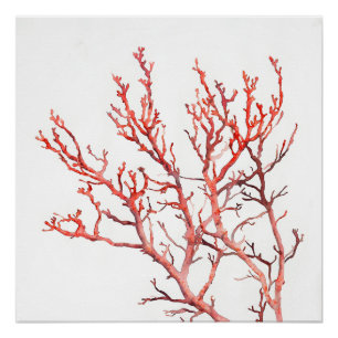 Minimalist Red Coral Poster