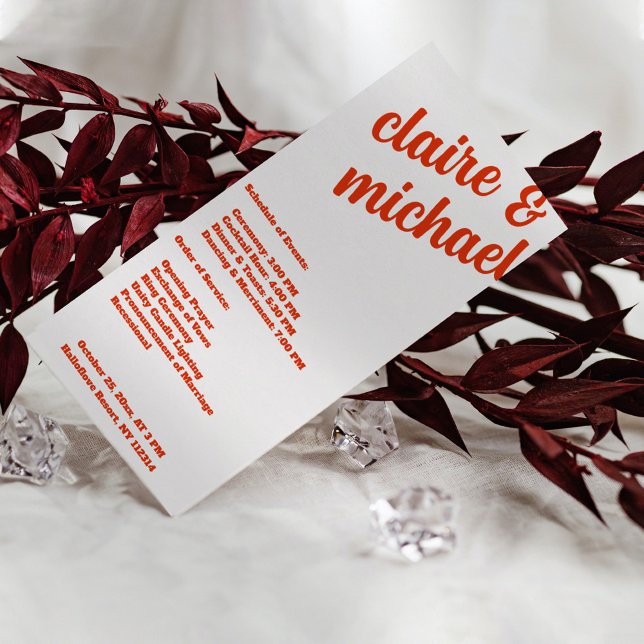 Minimalist Retro Simple Modern Wedding Program Programme (Retro Simple Modern Wedding Program)
