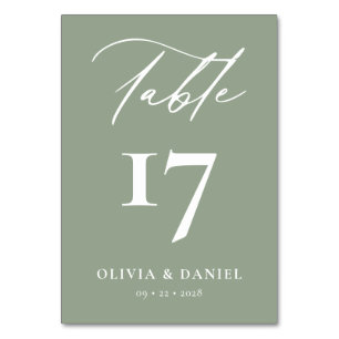 Minimalist Sage Green Modern Wedding Table Number