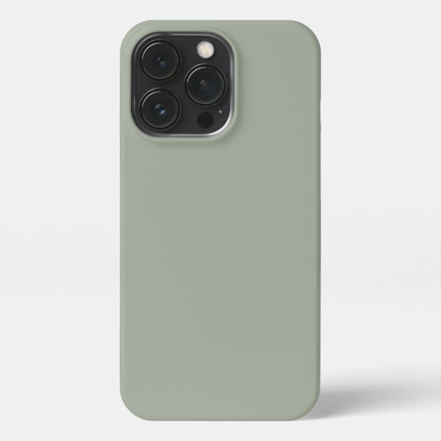 Minimalist sage green plain solid colour modern iPhone case (Back)