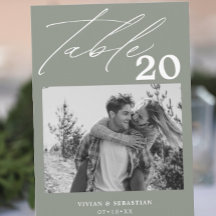 Minimalist Sage Wedding Table Number Pictures