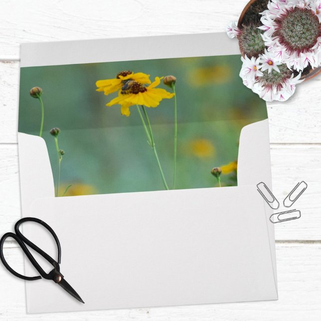 Minimalist Scenic Yellow Wildflower Photograph Envelope (Creator Uploaded)