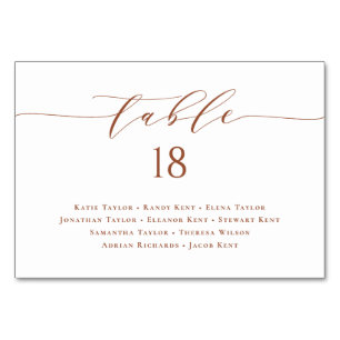 Minimalist Script Terracotta Wedding Seating Plan Table Number