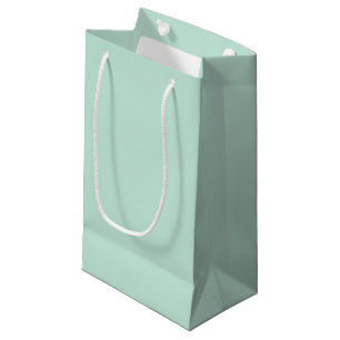 Minimalist seafoam mint green solid plain elegant small gift bag