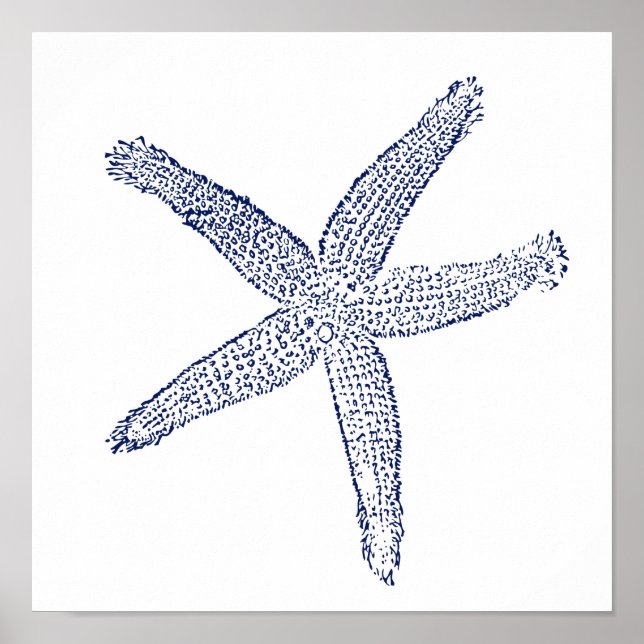 Minimalist Starfish Poster (Front)