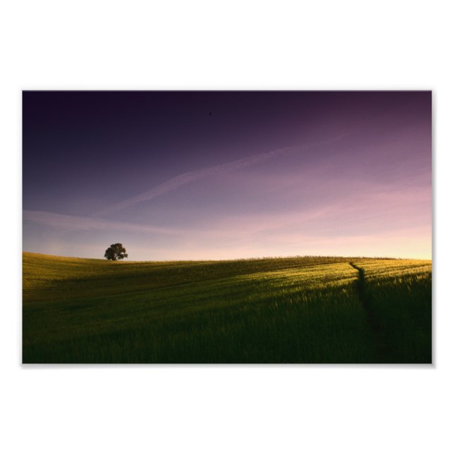 Minimalist Sunset (Old Linslade 9111)  Photo Print (Front)