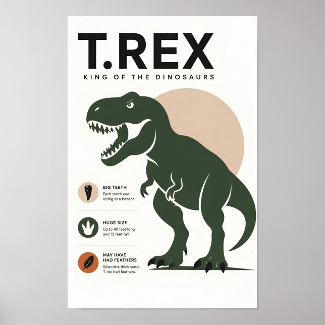 Minimalist T. Rex Educational Kids Room  Poster (Front)