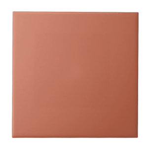Minimalist terracotta Plain Solid Colour Tile