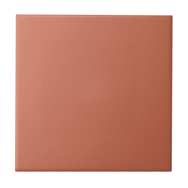 Minimalist terracotta Plain Solid Colour Tile (Front)