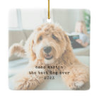 Minimalist Typewriter Dog's First Christmas Photo