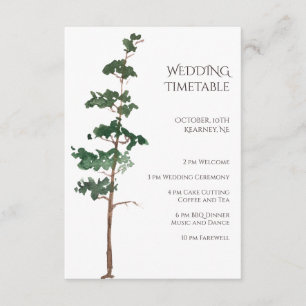 Minimalist Watercolor Spruce Wedding Timetable Enclosure Card