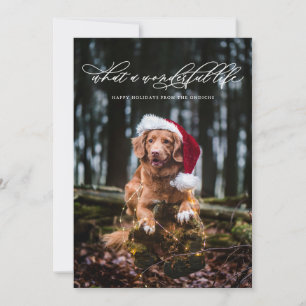 Minimalist Wonderful Life Calligraphy White Holiday Card