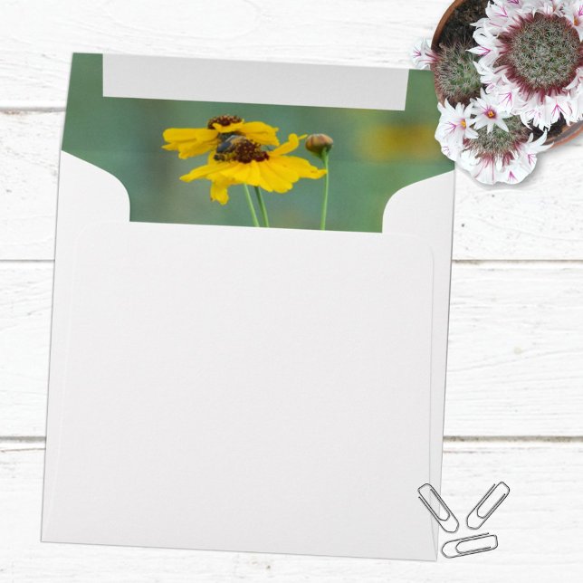 Minimalist Yellow Wildflower Photograph Envelope (Creator Uploaded)