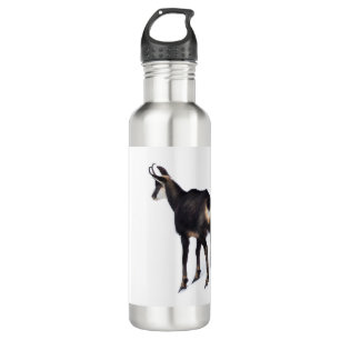 Minimalistic Alpine Chamois mountain goat on snow 710 Ml Water Bottle