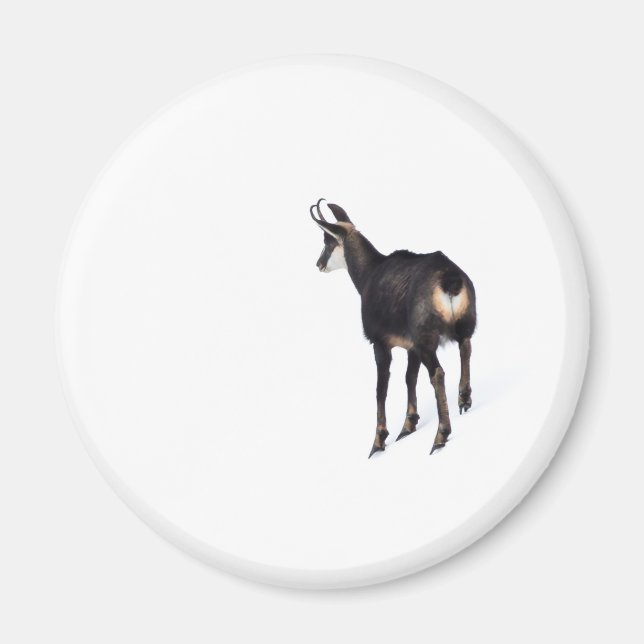 Minimalistic Alpine Chamois mountain goat on snow Magnet (Front)