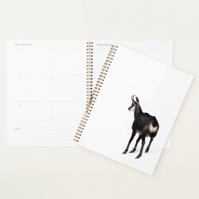 Minimalistic Alpine Chamois mountain goat on snow Planner (Display)