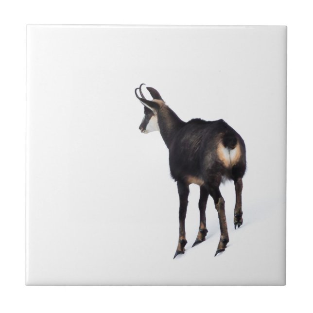 Minimalistic Alpine Chamois mountain goat on snow Tile (Front)