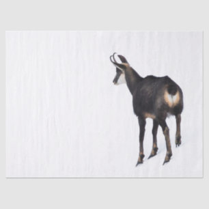 Minimalistic Alpine Chamois mountain goat on snow Tissue Paper